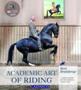 Academic Art of Riding: A Riding Method for the Ambitious Leisure Rider